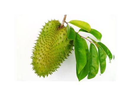 Mlesna herbata czarna SOURSOP 50x2g