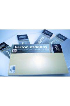 Karton wiz. MILLENIUM 220g a'20 szt. srebrny 