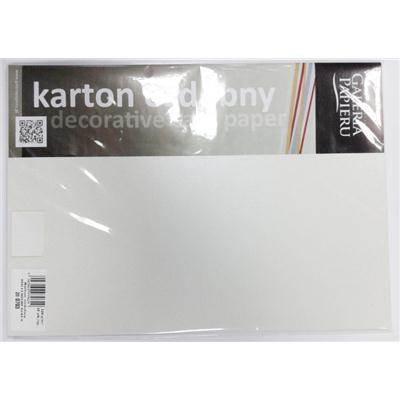 Karton wiz. MILLENIUM 220g a'20 szt. biały /AR