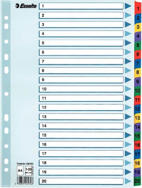 Przekł. do segr. A4 MYLAR 1-20  ESSEL. 100163 kar.