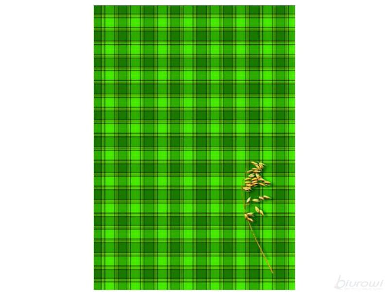 Brulion A5 300 k opr. tw. /KRESKA