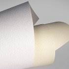 Karton wiz. BORNEO 220g a'20 szt. krem./AR