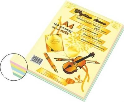 Papier ksero A4 mix 80g a'100 szt. pastel /PR