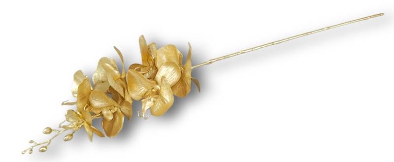 XKLM1023-GOLD
