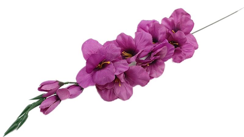 BL018-#17