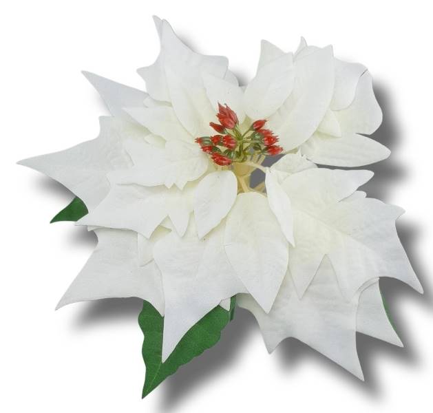 SUN714-B