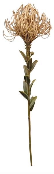 MD4705-COF