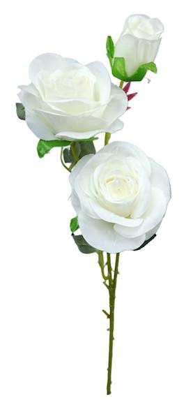 T1712405-WH