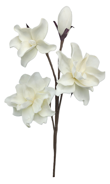 WLG8037-WH