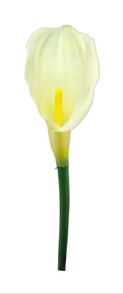 AL45085-S1529-A