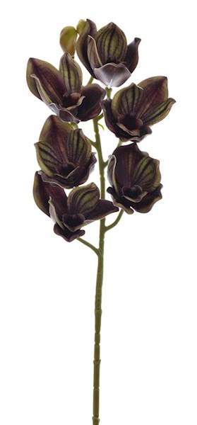 LEV016-OLIVE