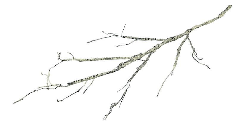 AB87020-C