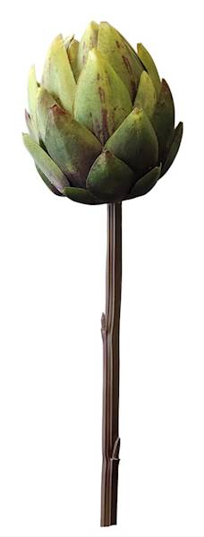 ECO059-DEEP GREEN