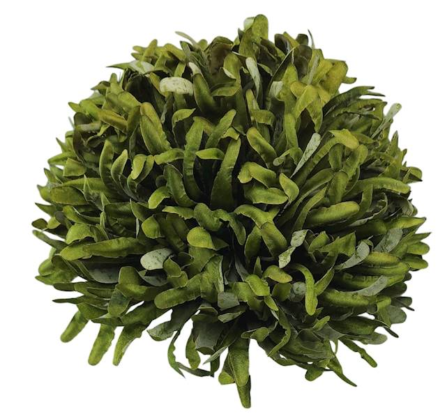 TA002-N1H-5