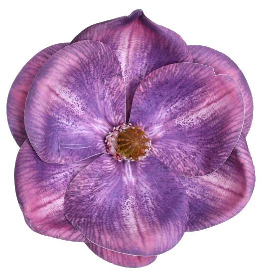 WEI1017-PURPLE