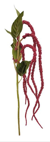YD436-FUCHSIA