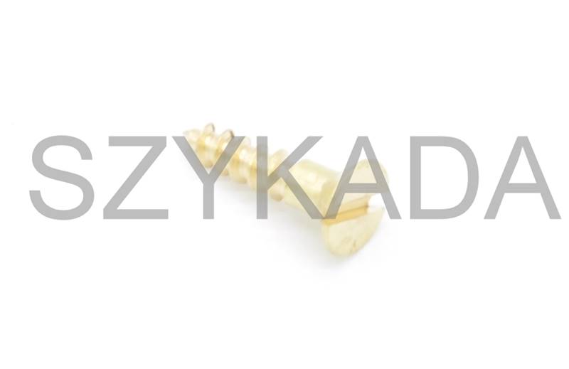 WKRĘT STOŻKOWY MOSIĄDZ NA WKRĘT.PŁASKI 3,0 X 12