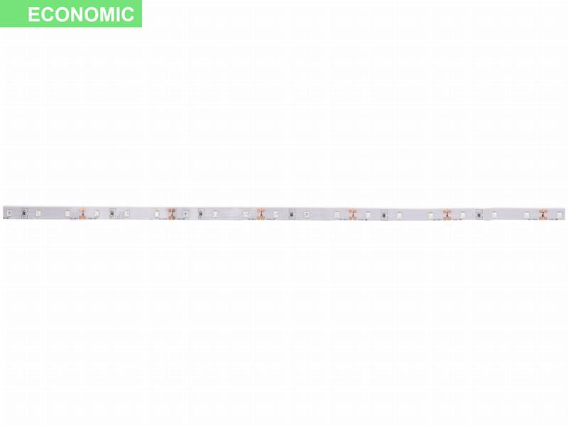PRESCOT TAŚMA ECONOMIC 12V SMD2835 60LED ZIELONA