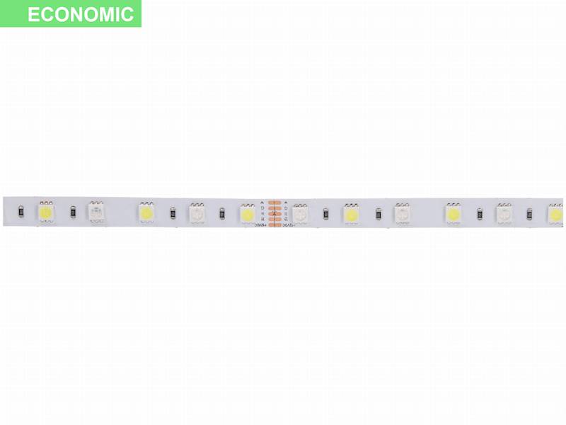 PRESCOT TAŚMA ECONOMIC 12V 60L/m 11,4W/m RGB+6000K
