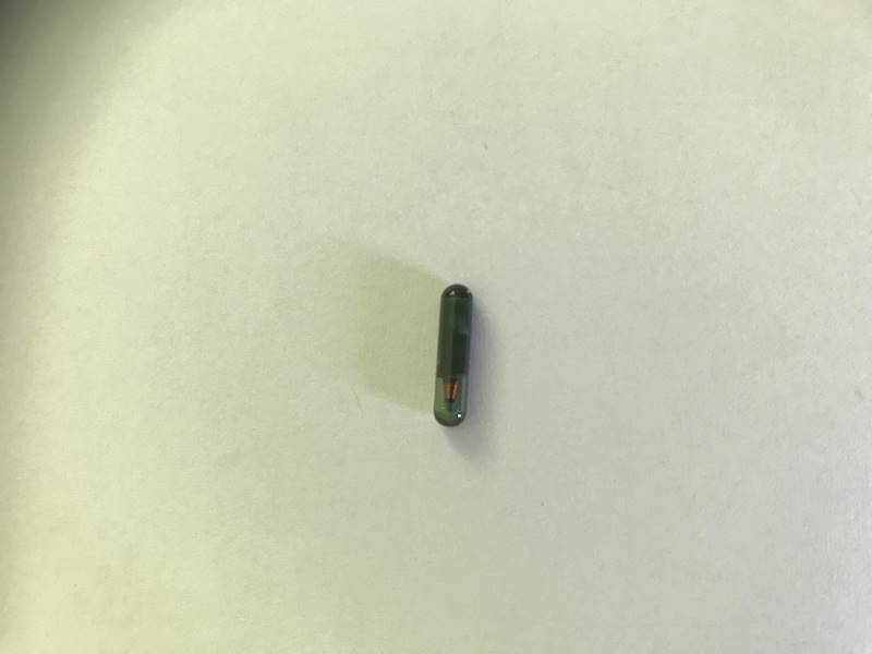 Transponder