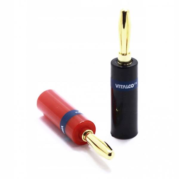 WTYK BANAN LAW24 Vitalco