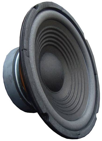 GŁOŚNIK FONICS EW80 8ohm