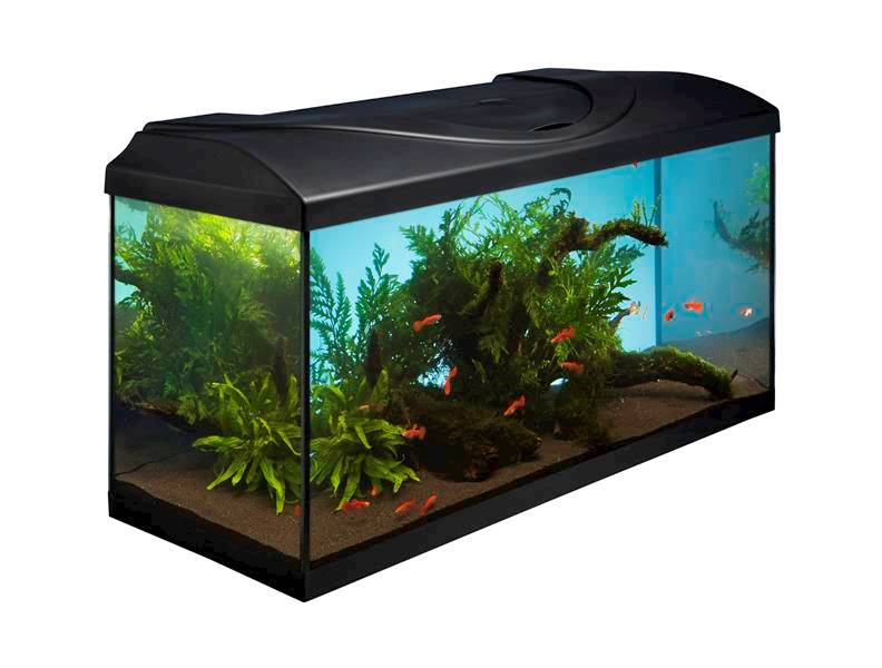 DIVERSA ZESTAW AKW. 80x35 PROS CZARNY 17W LED 112L