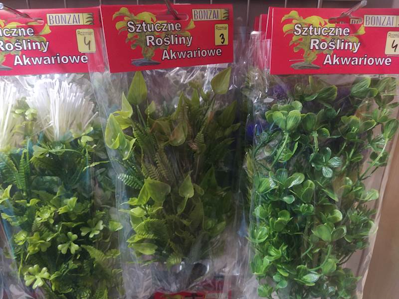 BONZAI ROŚLINA NA SKALE NR 4