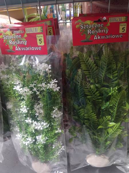 BONZAI ROŚLINA NA SKALE NR 5