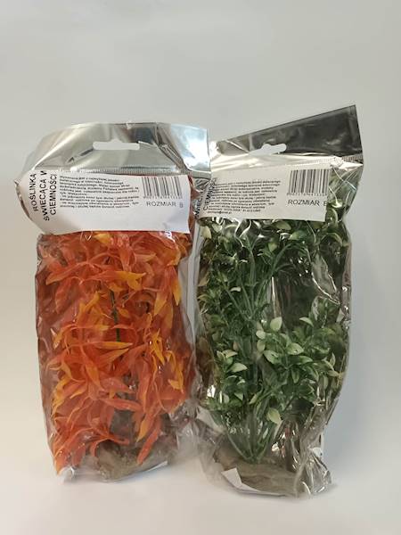 ROŚLINKA ŚWIECĄCA B