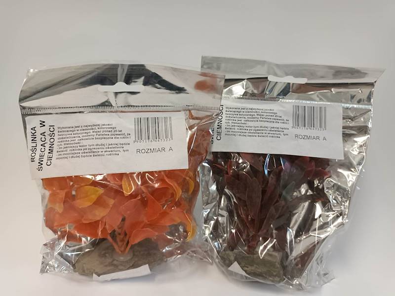 ROŚLINKA ŚWIECĄCA A