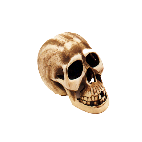 CERAMIKA-czaszka ludzka