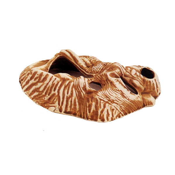 CERAMIKA-grota płaska