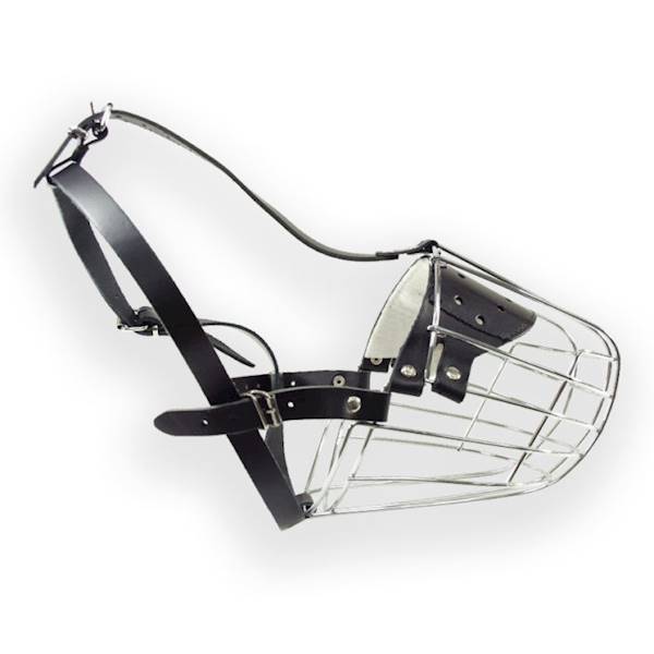 DINO KAGANIEC MET.12 BERNARDYN N/CZ