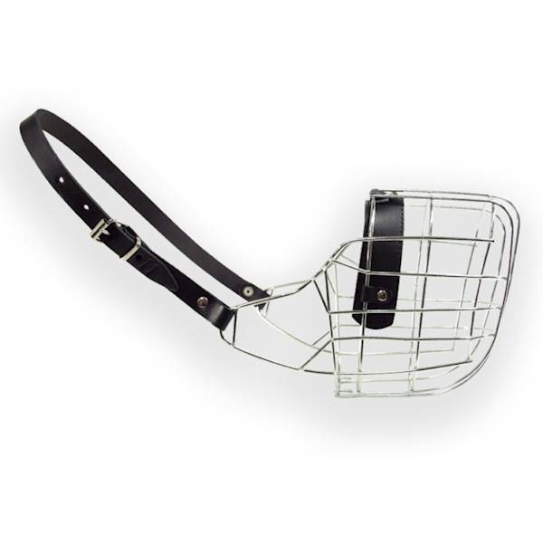 DINO KAGANIEC MET. 11 SZNAUCER N/CZ