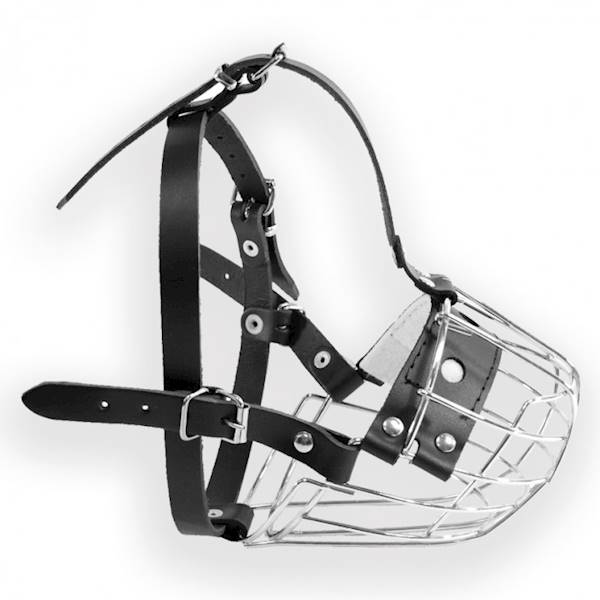 DINO KAGANIEC MET.8A BOKSER SUKA