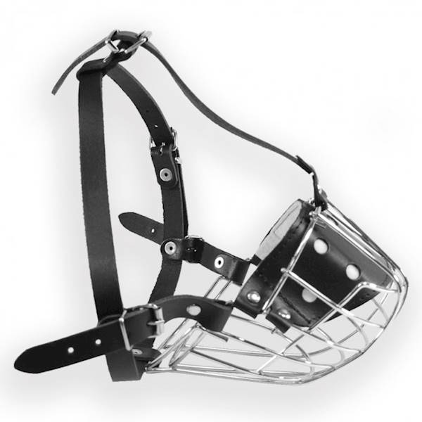 DINO KAGANIEC MET.8 BOKSER PIES