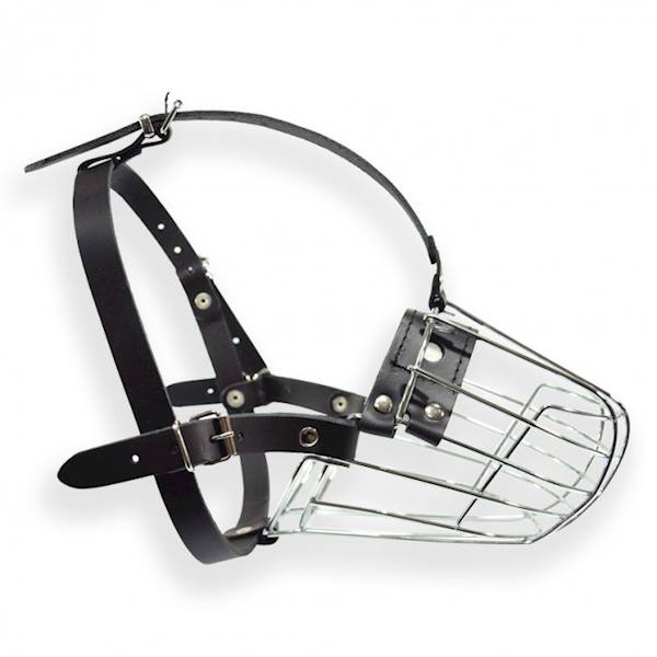 DINO KAGANIEC MET.6A OWCZAREK SUKA