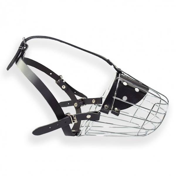 DINO KAGANIEC MET.6 OWCZAREK