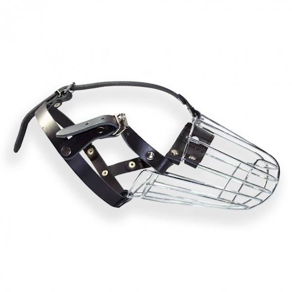 DINO KAGANIEC MET 4A COLLIE