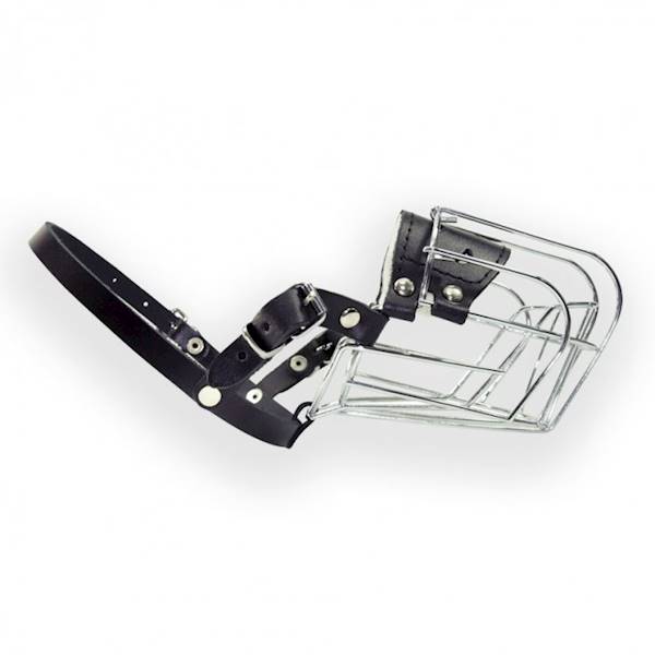 DINO KAGANIEC MET 2 JAMNIK