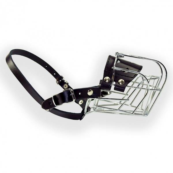 DINO KAGANIEC MET. 1 PUDEL