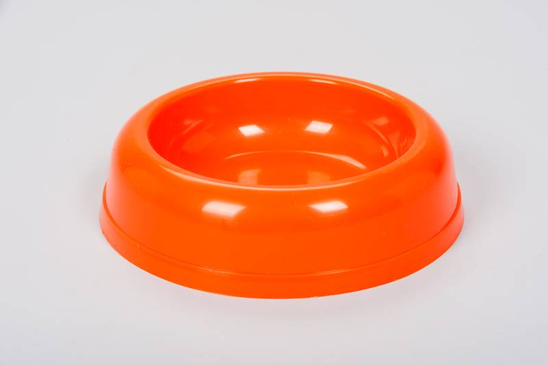 IN MISKA DLA KOTA 0,5L