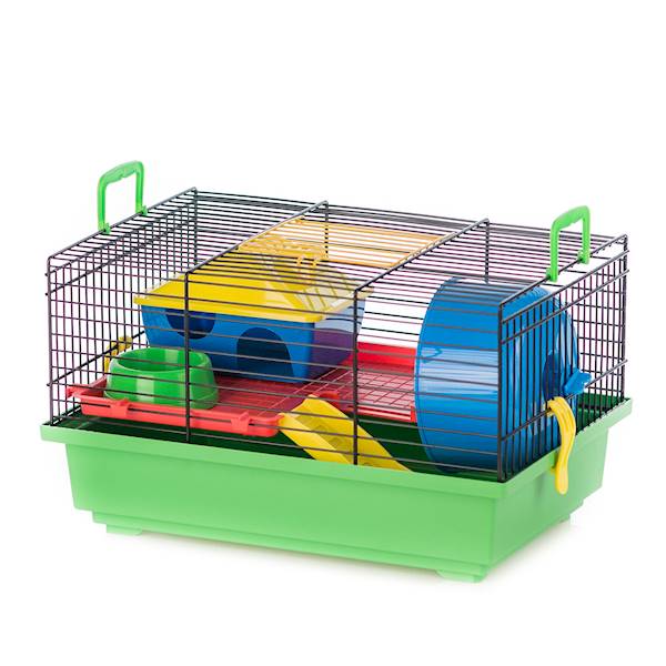 IN KLATKA TEDDY KOLOR + PL 36x24x21