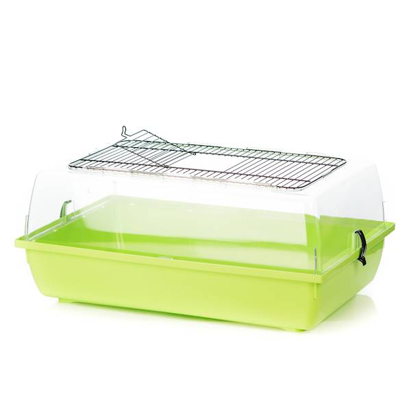 IN KLATKA ALEX BEZ WYPOSAŻENIA 58X38X25