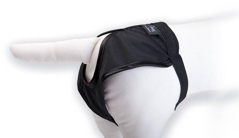 DINO MAJTKI NA CIECZKĘ 6