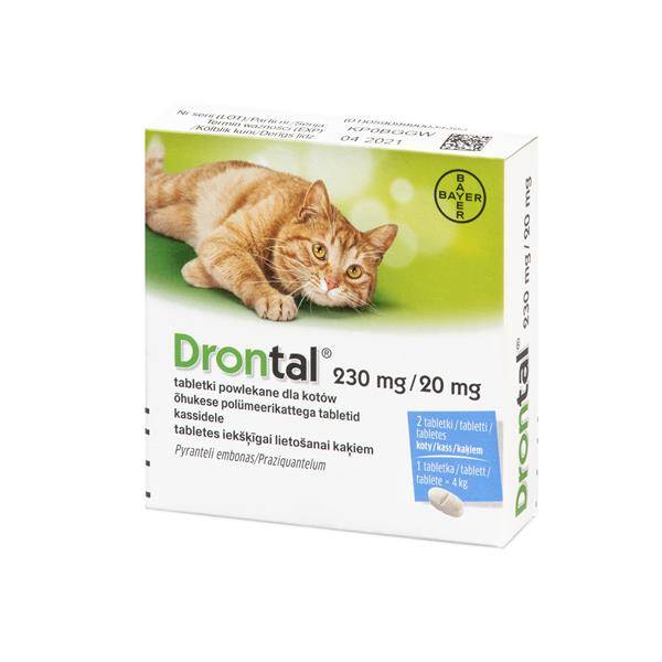 MED DRONTAL DLA KOTA 2SZT