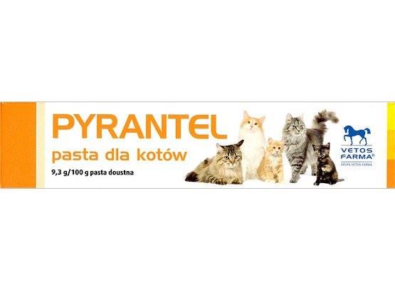 PYRANTEL 100G PASTA DO ODROBACZANIA DLA KOTA