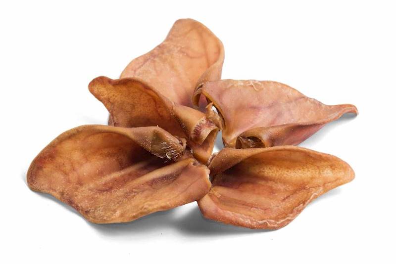 PETMEX UCHO WIEPRZOWE ŚREDNIE PET-1431 PET-0816