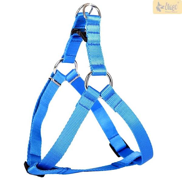 DG SZELKI Z TAŚMY 1,6/50 NIEBIESKIE